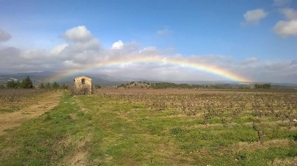 בית הארחה Laure-Minervois 	Domaine D'Azeou מראה חיצוני תמונה